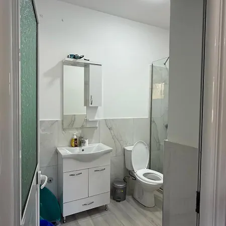 Besnik, For Rent